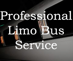 Limo Bus